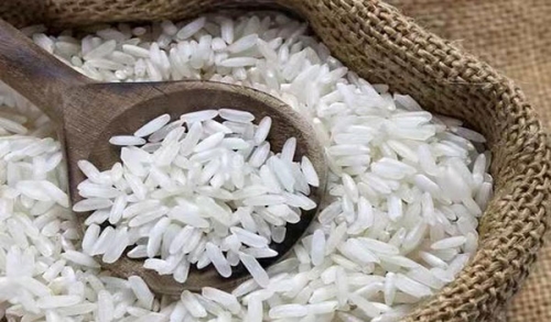 怎样储存大米不长虫