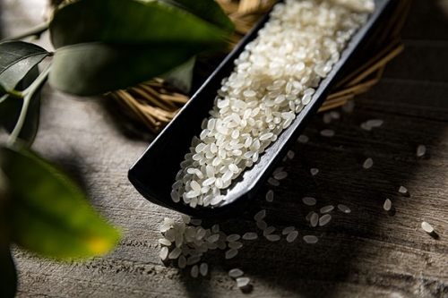 大米营养成分有哪些