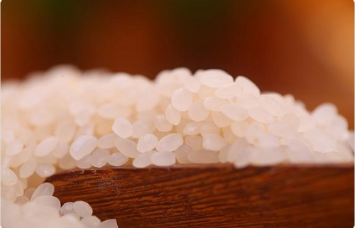 珍珠米的形态特征及生产标准
